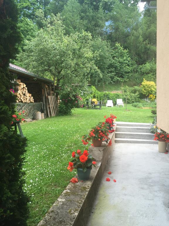 Noclegi Pod Kasztanem Duszniki Zdrój Esterno foto